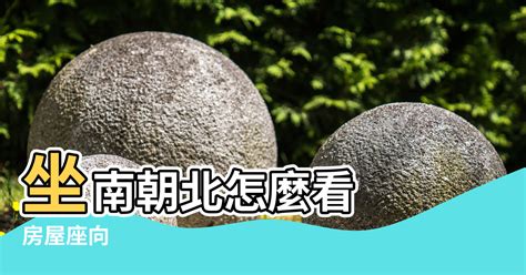 座南朝北財位|【坐南朝北財位】坐南朝北財位破解陣！掌握方位學秘訣，輕鬆化。